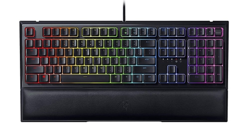 Ornata V2 - US